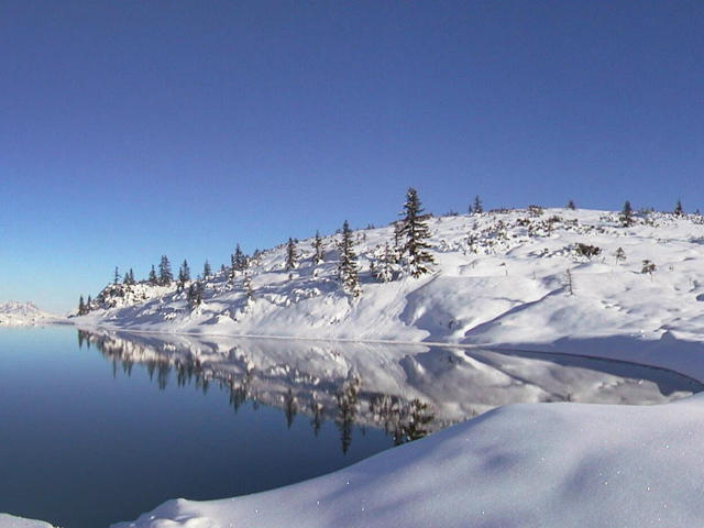 Neukumhof Daire Westendorf Dış mekan fotoğraf
