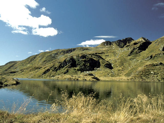 Neukumhof Daire Westendorf Dış mekan fotoğraf